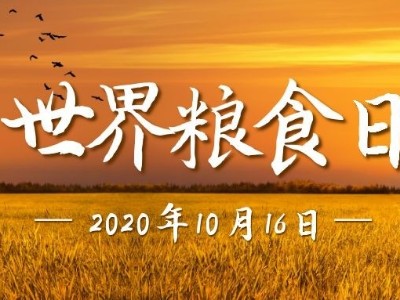 世界糧食日|光盤行動，睿寂行空壓機在行動......